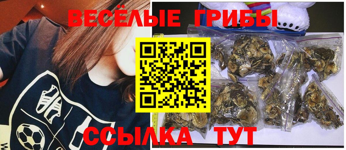 Киселёвск  Псилоцибиновые грибы прущие грибы  наркотики  Вход с VPN  Галлюциногенные грибы GOLDEN TEACHER 