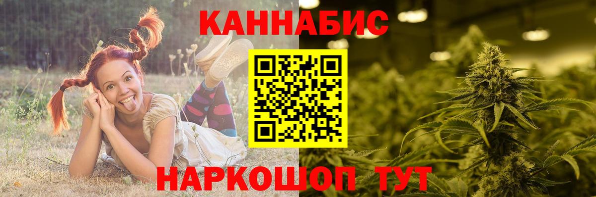 Канабис OG Kush  Марихуана планчик  Вход с VPN  Бошки марихуана AK-47  Киселёвск 